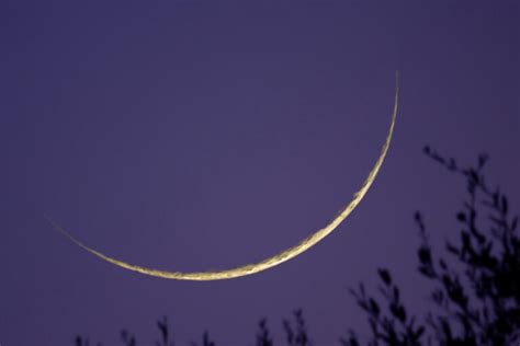 The exact date is not yet known, as it depends on the sighting of the moon, but it is believed the holiday will start on monday, july 19. Eid al-Adha 2021: Likely start date July 20 - Hotelier ...