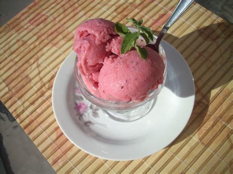 Canela Kitchen Gloria Plum And Yogurt Ice Cream