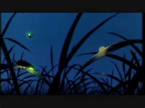 They generate sound waves, which after hitting an object, return in the form of echoes. Nocturnal Animals - YouTube