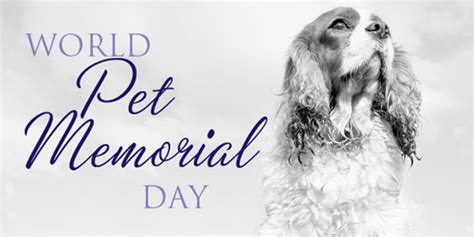 Explore these important dates that celebrate those close to us: World Pet Memorial Day 2018 | Free Printable 2020 Calendar ...