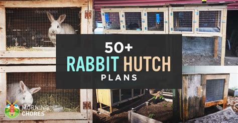50 Diy Rabbit Hutch Plans To Get You Started Keeping Rabbits