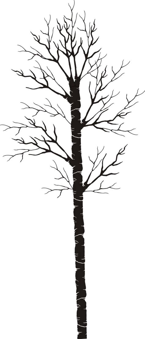 painting stencil bare birch aspen walls stencils