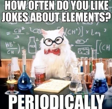 Chemistry Cat Chemistry
