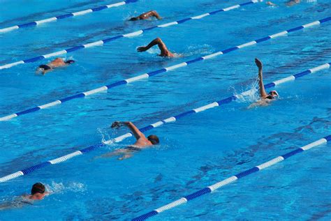Swimming Lanes Swimmers Do Laps At An Outdoor Pool Near Wo Flickr