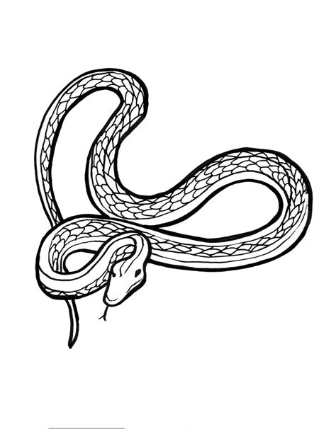 Free Printable Snake Coloring Pages For Kids Animal Place