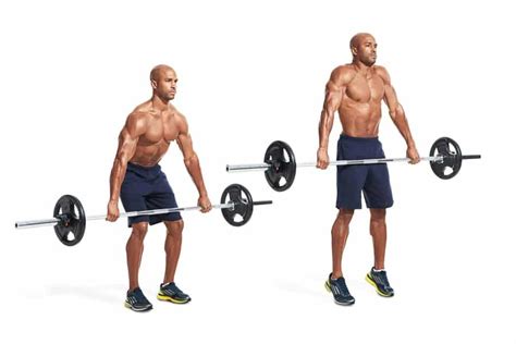 Shoulder Workout Shrugs Full Body Workout Blog