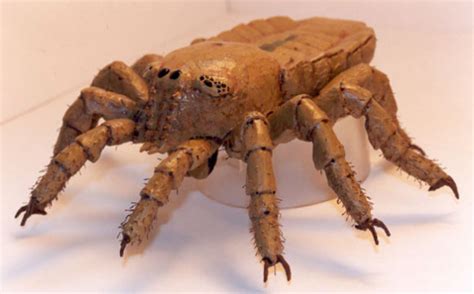 Scientists Resurrect A 410 Million Year Old Spider With Cgi