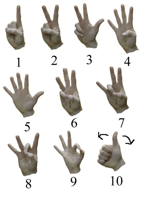 How To Sign Language In Asl Numbers Diane Seays Kids Worksheets