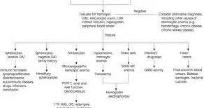 Interpretation Of Lab Results: Hemolytic anemia