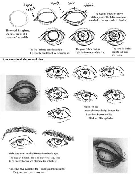 Drawing Eyes Worksheet By Ccrask On Deviantart