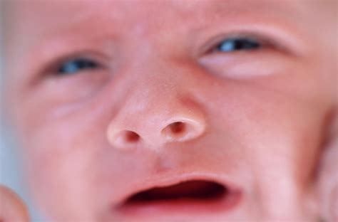 Crying Baby Boy Photograph By Ian Hootonscience Photo Library