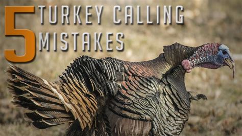 Turkey Hunting Tips 5 Turkey Calling Mistakes You Need To Avoid