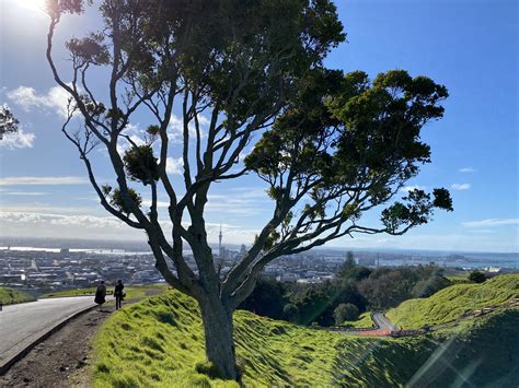 Climb To The Crater Of Maungawhau Mt Eden Live Online Tour From Auckland