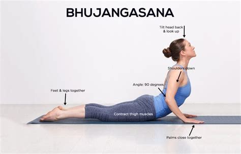 How To Do Bhujangasana Benefits Awareness And Contraindications