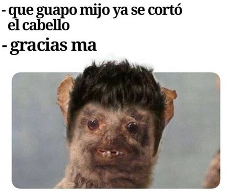 Que Guapo Funny Spanish Memes Funny Memes Memes