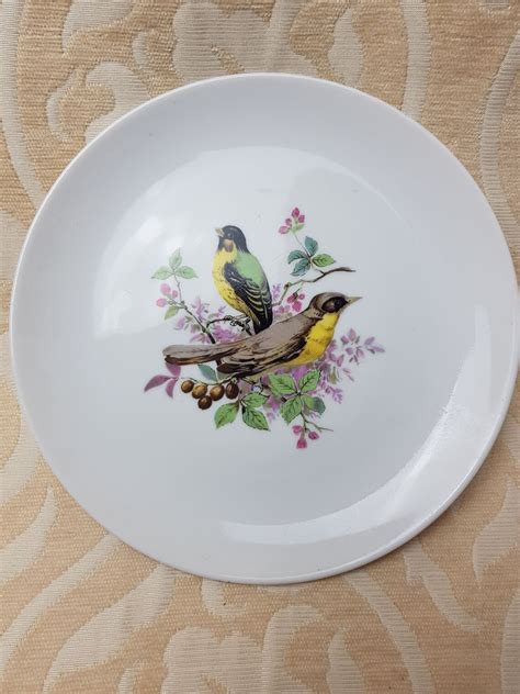 Vintage Ak Kaiser 2 Birds Hanging Plate Finches On Branches Etsy