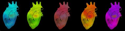 Maybe you would like to learn more about one of these? human heart gifs | WiffleGif