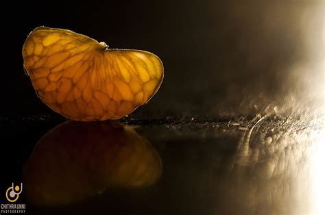 Hintergrundbilder Wasser Makro Frucht Schmetterling Insekt Gelb