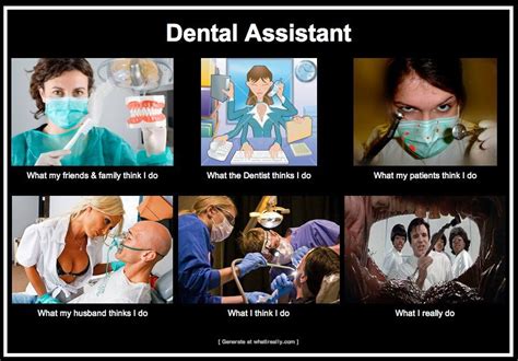 what i really do dental fun dental assistant humor dental
