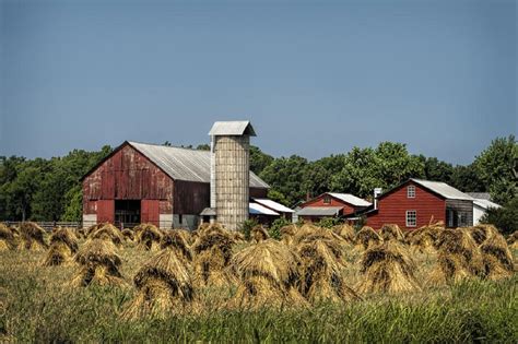 Amish Survival Skills That You Should Probably Learn Too