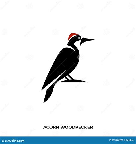 Woodpecker Silhouette Isolated On White Background Cartoon Vector