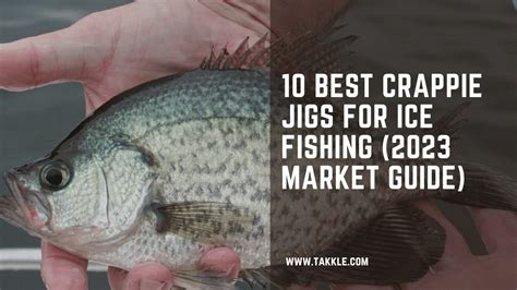 10 Best Crappie Jigs For 2023 The Ultimate Guide