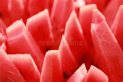 Red Melon Seeds Stock Photo Image Of Food Seed Dried 1889054