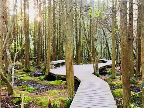8 of the Most Beautiful Places to See in Massachusetts