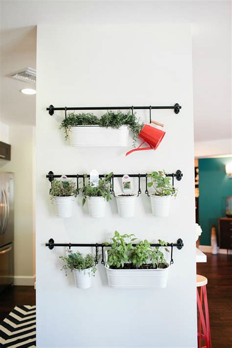 Find deals on products on amazon 15 Phenomenal Indoor Herb Gardens
