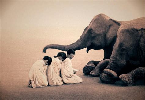 Ashes And Snow Photos By Gregory Colbert Showcase Relationship Between