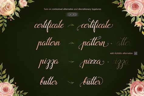 Similar fonts for ragazza script from creativemarket.com. Flamingo - formal script | Lettering alphabet, Calligraphy ...