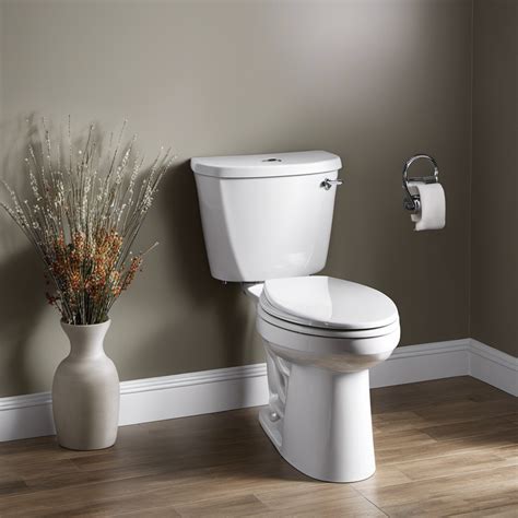 Powerful Flush And Stylish Design American Standard Champion 4 Review