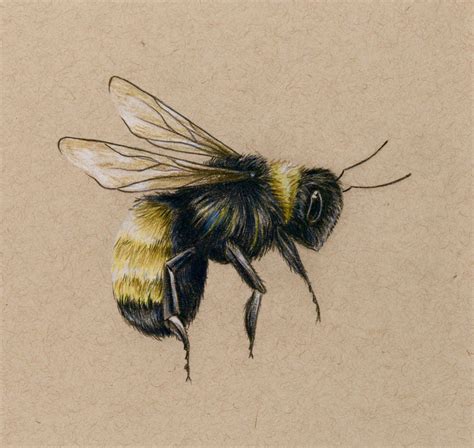 Bee Art Print Drawing Colored Pencil Bee Flying Etsy