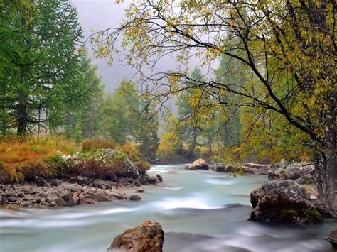 River Mountain Trees Stream Summer Photography Wallpaper Preview