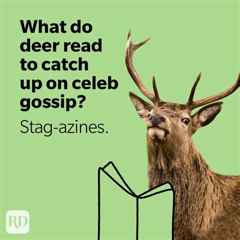 50 Deer Puns That Make The Heart Grow Fawnder Funny Deer Jokes