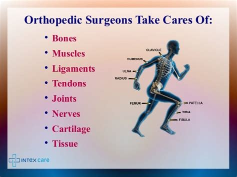 Introduction To Orthopedic Treatment