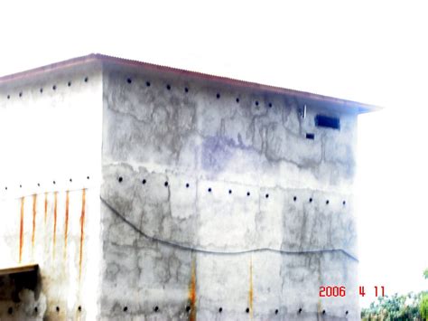 Ish the best ish the best cameea : BURUNG LAYANG-LAYANG | Canggih Laksana