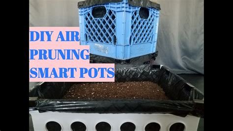 How To Make Diy Air Pruning Smart Pots On A Budget Wa Milk Crate File