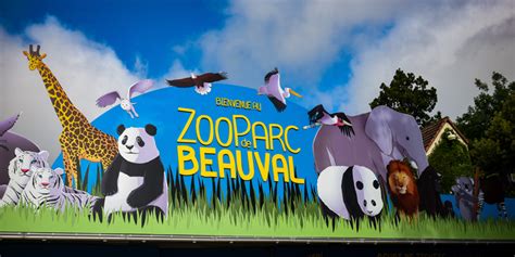 Au Zooparc De Beauval