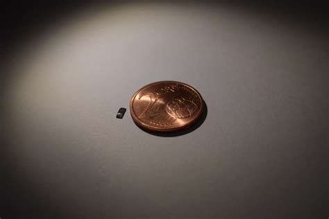 this tiny robot can crawl swim and deliver drugs inside the human body seeker