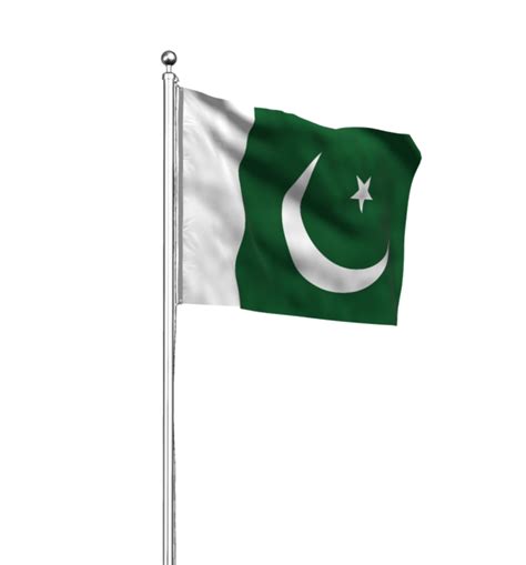 Pakistan Flag Vector Png Mtc Tutorials