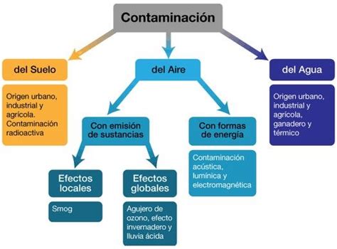 Mapa Conceptual De Contaminacion Ambiental Esal