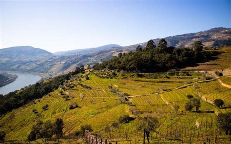 5 Best Wineries In The Douro Valley Pink Caddy Travelogue Douro