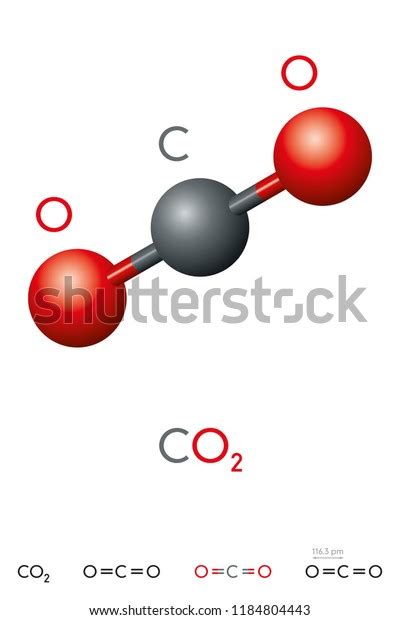Carbon Dioxide Co2 Molecule Model Chemical Stock Vector Royalty Free