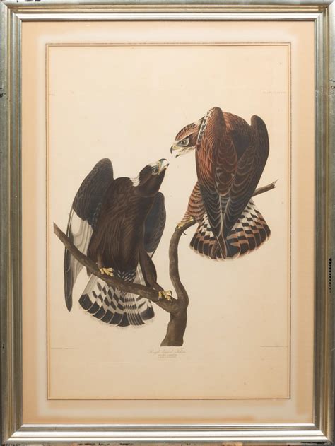 Lot John James Audubon American 1785 1851