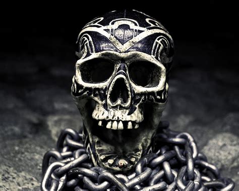 Skull And Chains Photograph By Rollie Robles