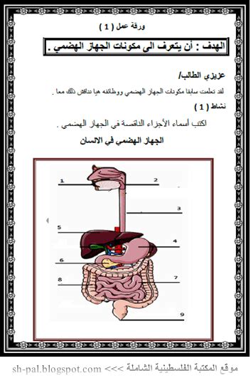 أوراق عمل لدرس الجهاز الهضمي للصف التاسع الفصل الأول المكتبة الفلسطينية الشاملة