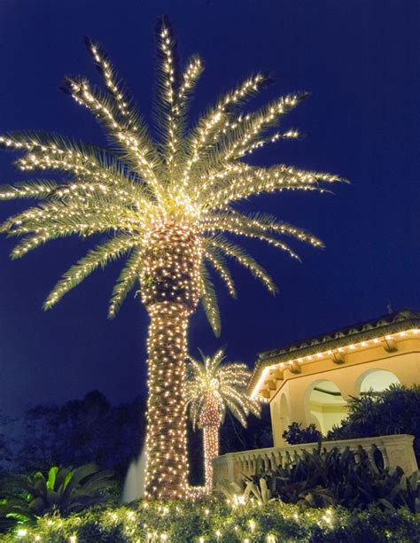 Christmas Lights Palm Tree
