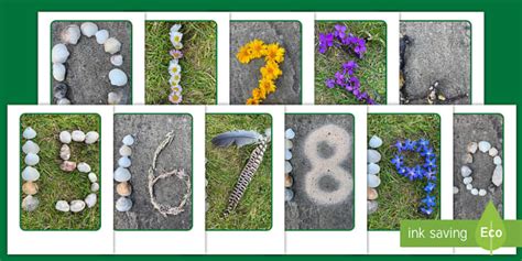 Nature Themed Numbers 0 20 Display Posters Teacher Made