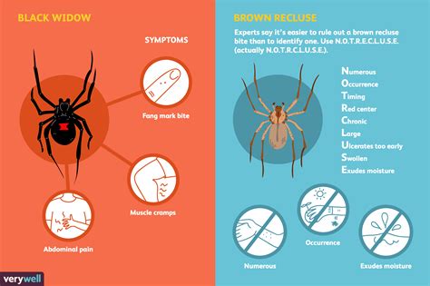 House Day 1 House Spider Bite Identification Chart